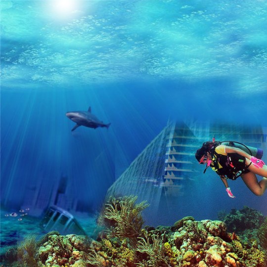 Diving on the Flight Deck