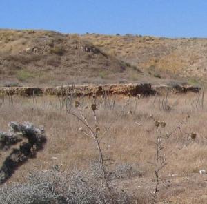 Dry, barren and prickly hill.