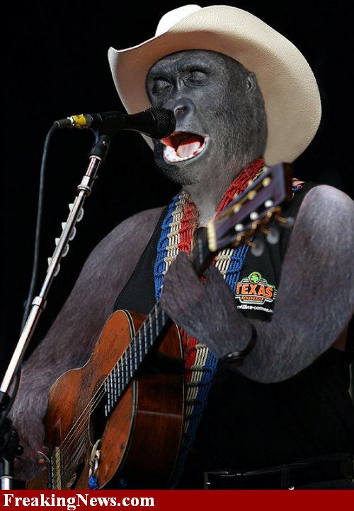 Willie-Nelson-Apeman--16282 ..... Make like an Apeman......