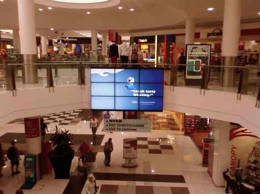 ..... and a cheeky cartoon bird angling ....