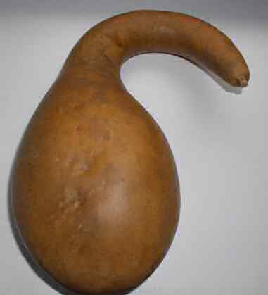 gourd_pin_tutorial_005d