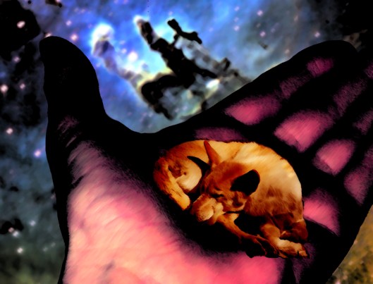 Baiame Redraws the Map of Mirriyuula's Heart