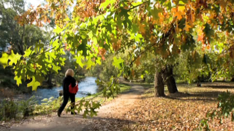 alpine_shire_preview