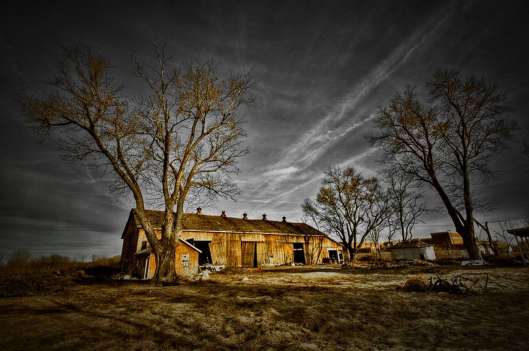 algy mostly instrumental 1