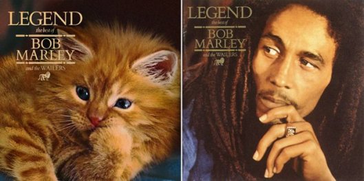 cat-and-bob-marley