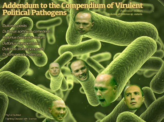 Dutton sp. and variants Final-1