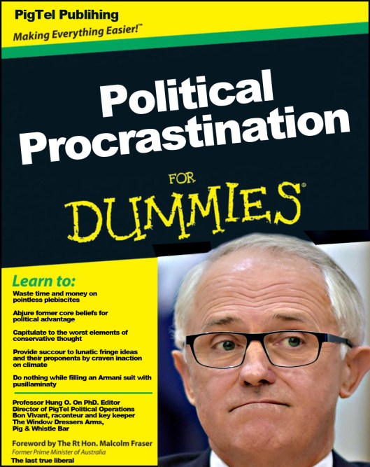 Turnbull Procrastinator